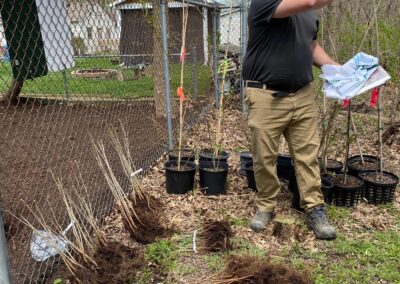 We donated and planted over 100 trees