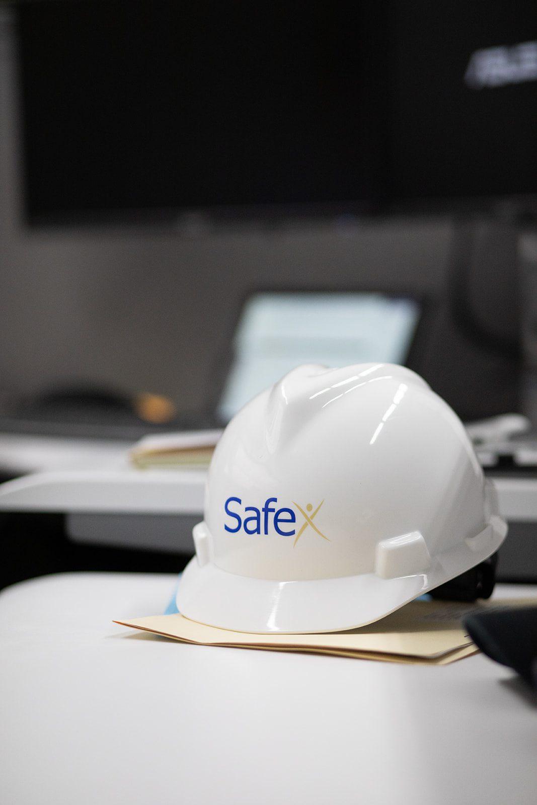 SAFEX health-safety-service