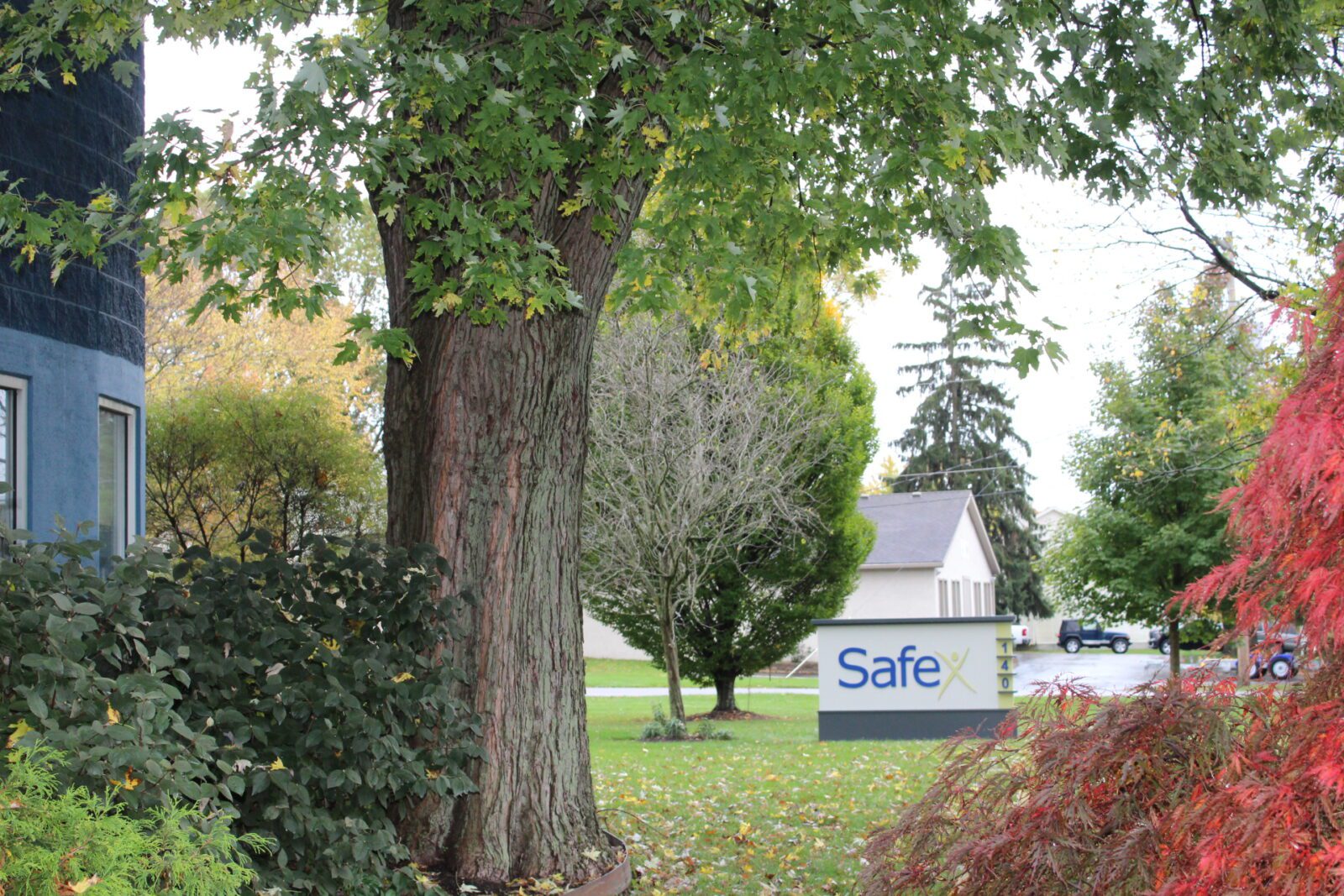through the trees Safex Hard Hat